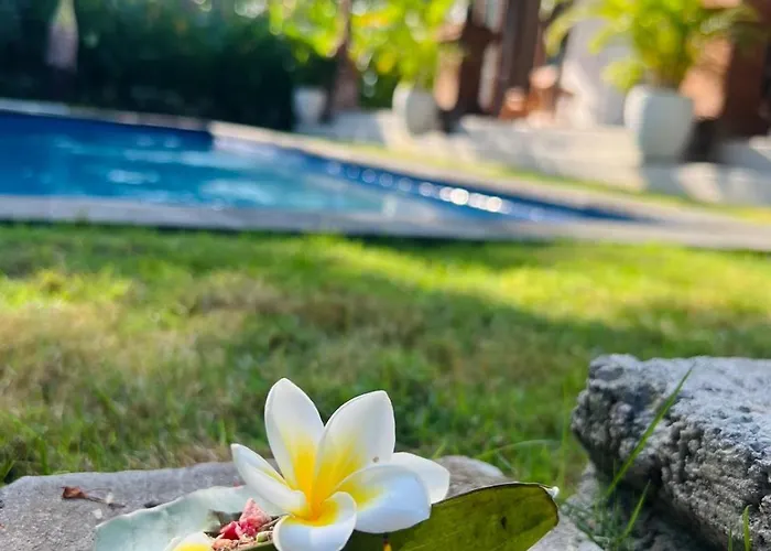 Konukevi Wiryaroja - Quite Garden In 3*